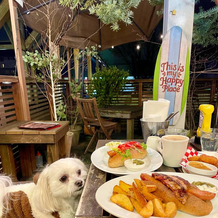 4f5f4bd1 d15b 4185 a951 7a0769a57d17 1639905843722