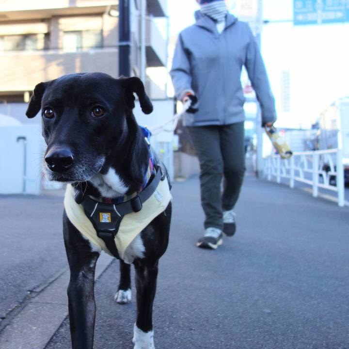 4f5f5a85 5dfe 4a01 a2cb e583ae67bc20 1642813186542