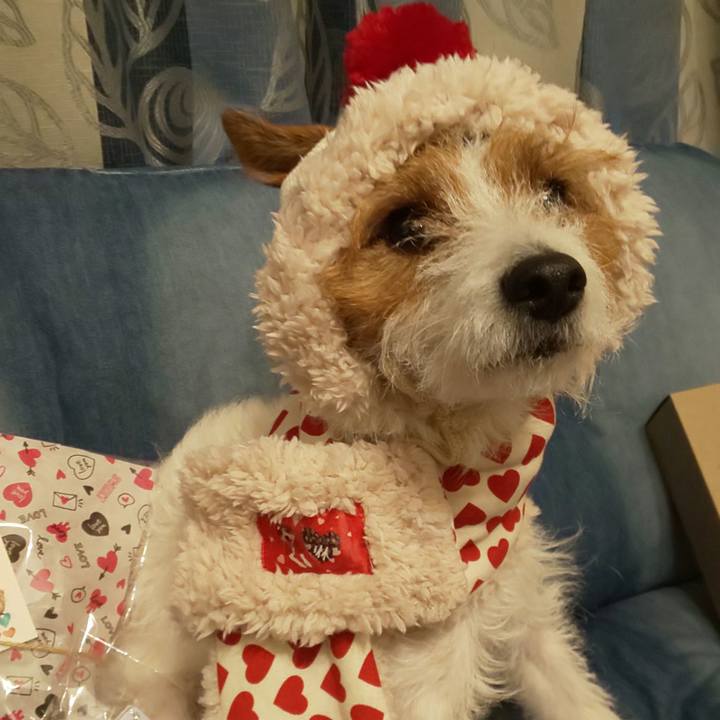 4f5f8556 3005 41e9 9703 84be7382c8d5 1579684463327