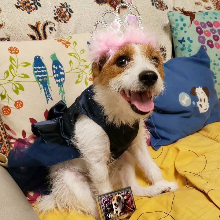 4f5ff9a6 a7b8 482c ae96 5d90b338b6b8 1590810006444