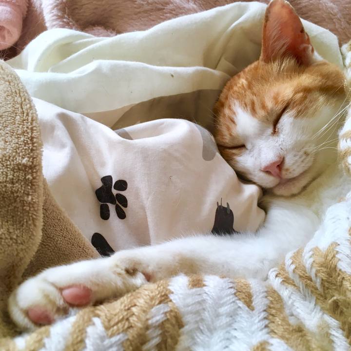 4f5ffe60 10af 4262 b7c3 502a57983a77 1568975457417