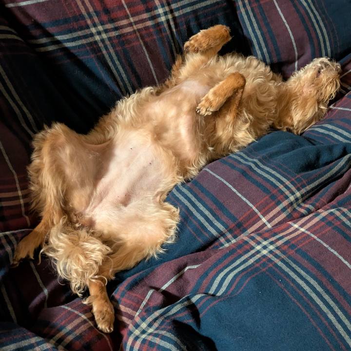 4f601457 6c7d 4e32 ad78 56a7959635b6 1745498664296