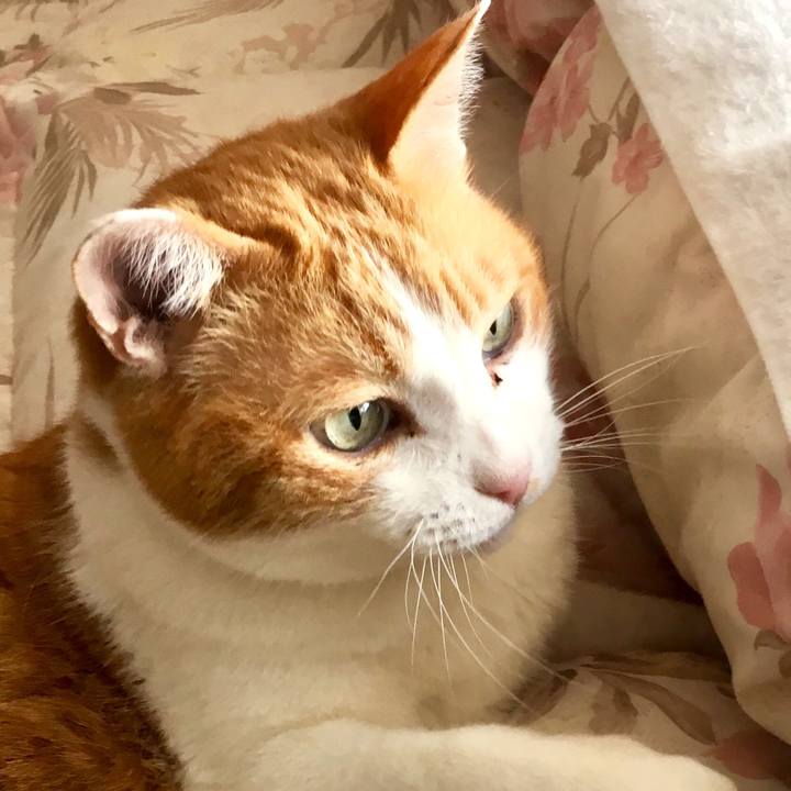 4f60247a b685 4c62 a89b d50e3f2fa159 1556315618480