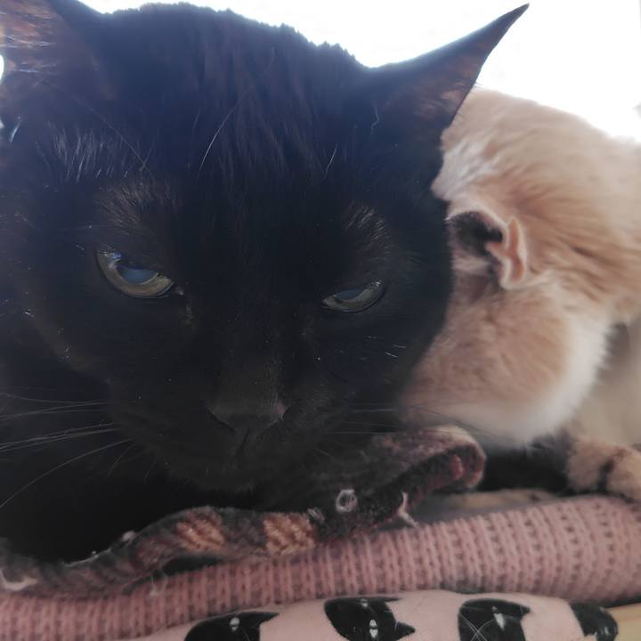 4f604a1b 6795 48d0 acc2 4f0555853349 1770243846372