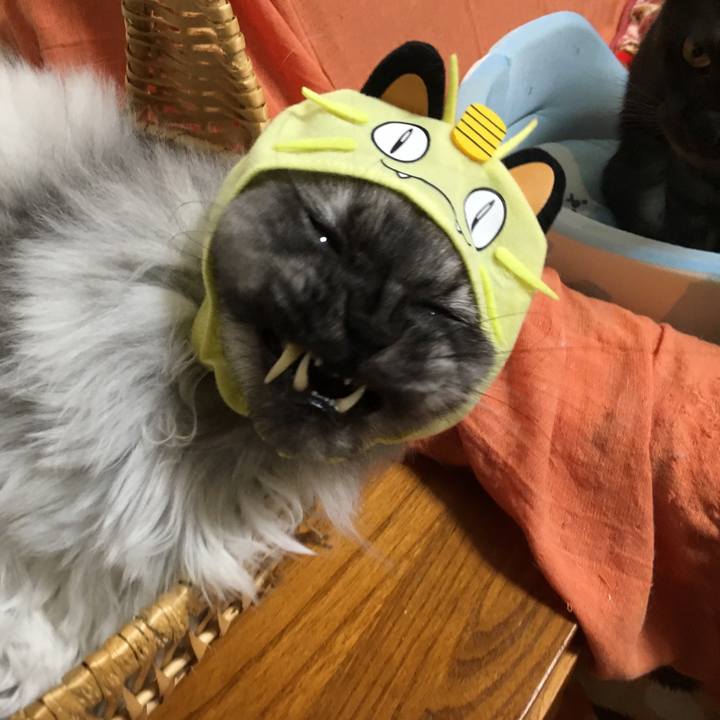 4f607556 982c 4f9a a01c 30c90e07e8d8 1549422815027