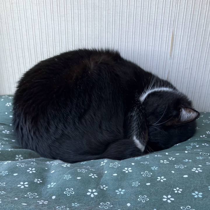 4f608b5c 1e34 48b0 8faf 921d80e6028f 1716174602395