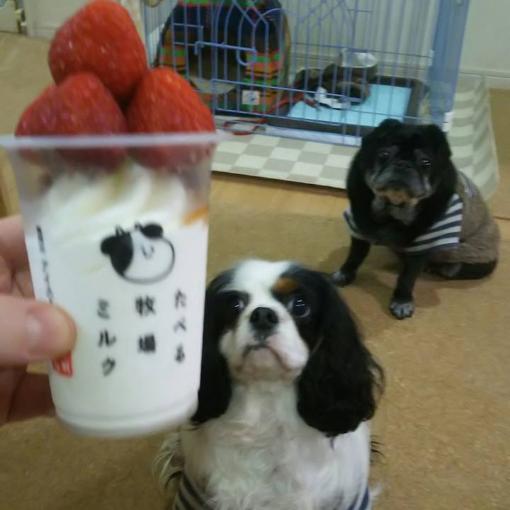 4f6096f0 29c0 4d8a 8992 907fd44e645a 1521023529162