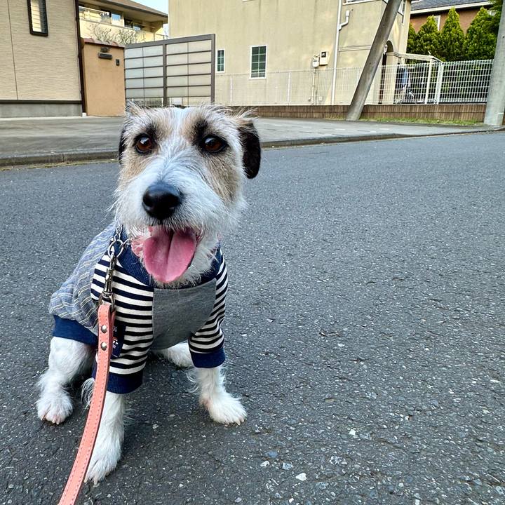 4f60cdac fa0d 4335 a440 f090f92b1854 1713145526410