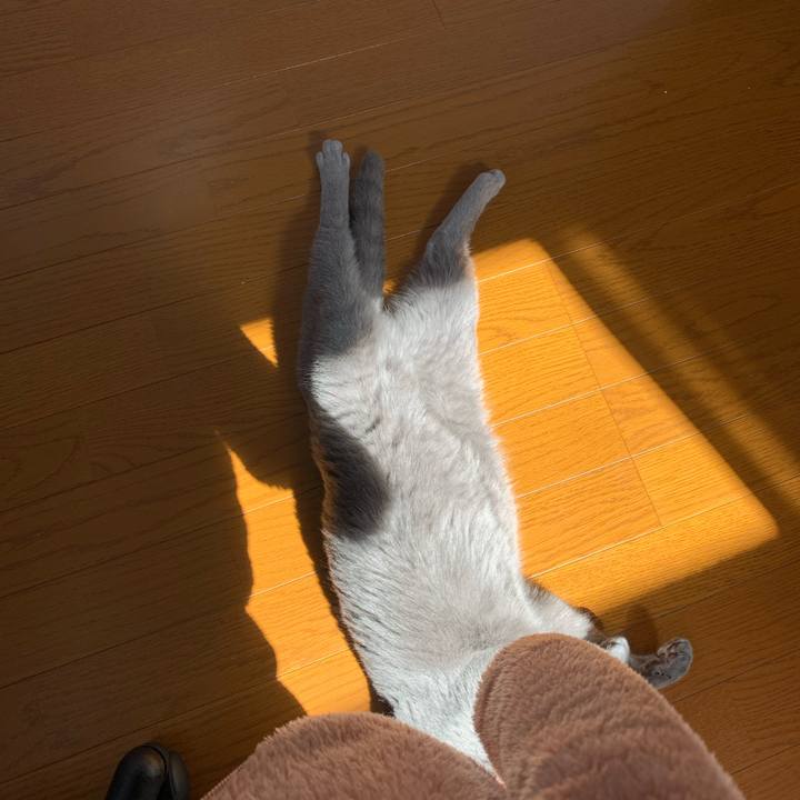 4f60e5cb 2e4c 41e5 ab25 0c838e2fcc48 1583893419372