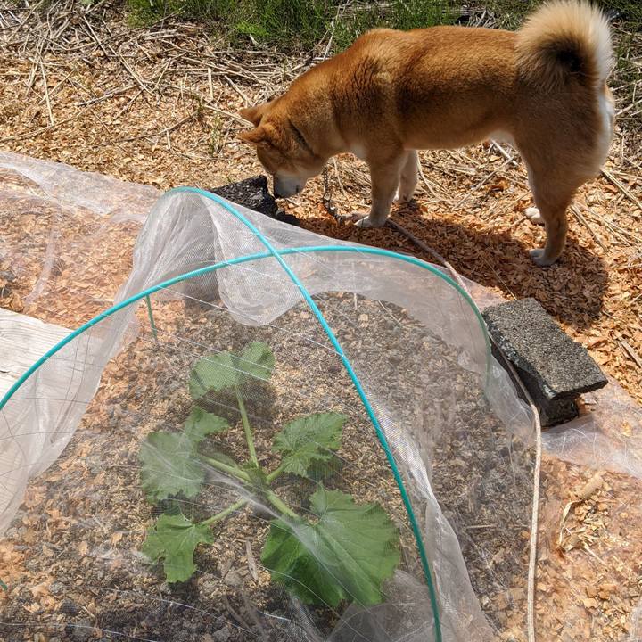 4f6185ea 70af 49bd 9dae d0cd4051e1db 1590918015934