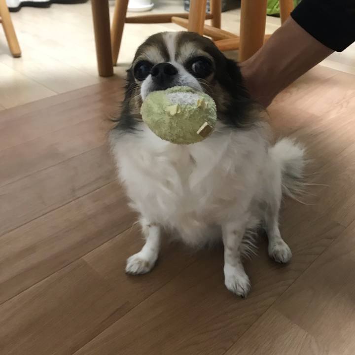 4f619003 e1d4 4489 9a81 153e4354a287 1734909286187