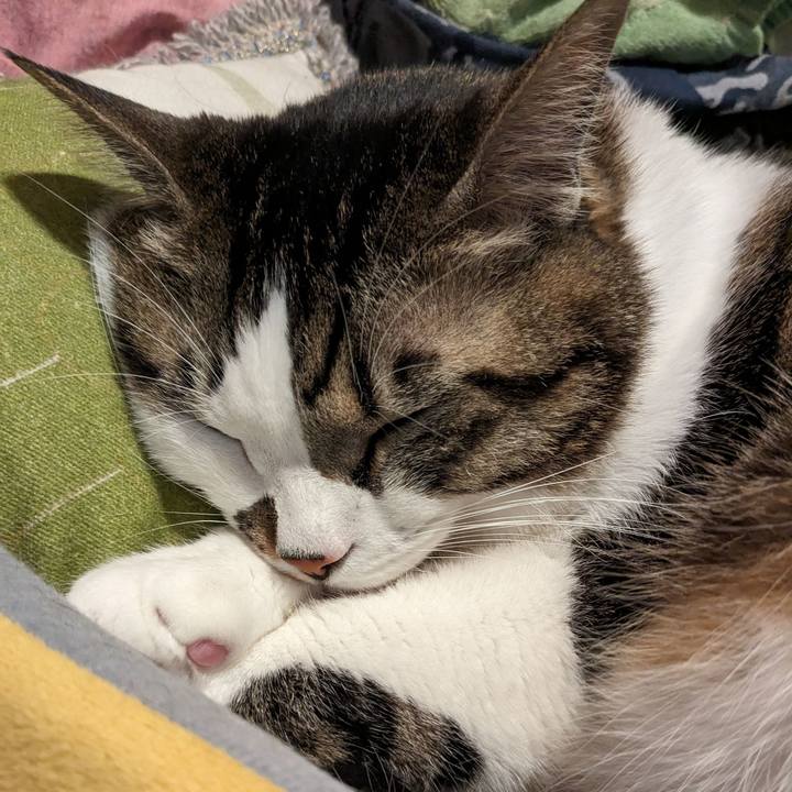 4f61cb43 8773 4e71 9a20 b0a582ae80f5 1704369077033