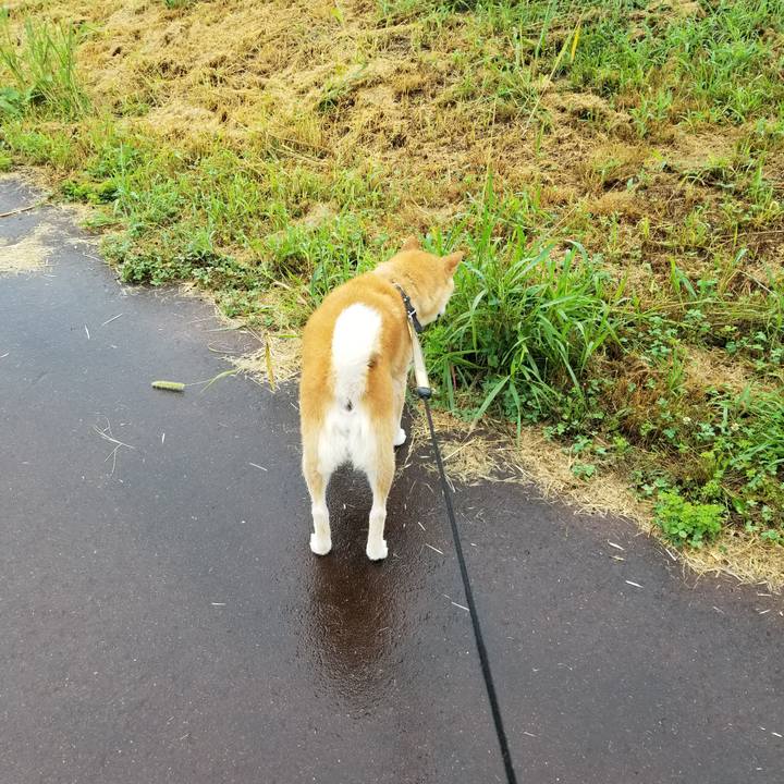 4f61ff3e 0643 45e3 bfa0 9679377249eb 1660717929893