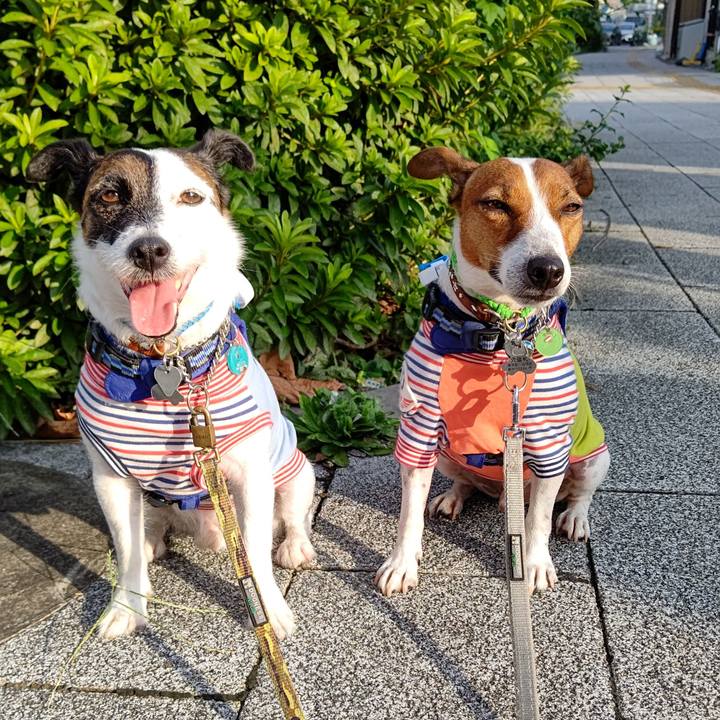 4f623874 eb14 4e6d be01 c0e2e0a839ae 1629928371062