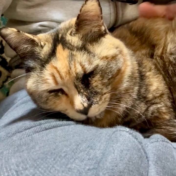 4f62437d c29d 4c2c 9d53 a8df99963c67 1767177798238