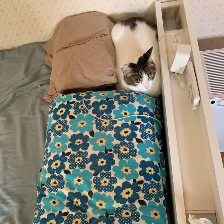 4f626013 3848 4fc2 b78c 57f50b4ad552 1654807930966