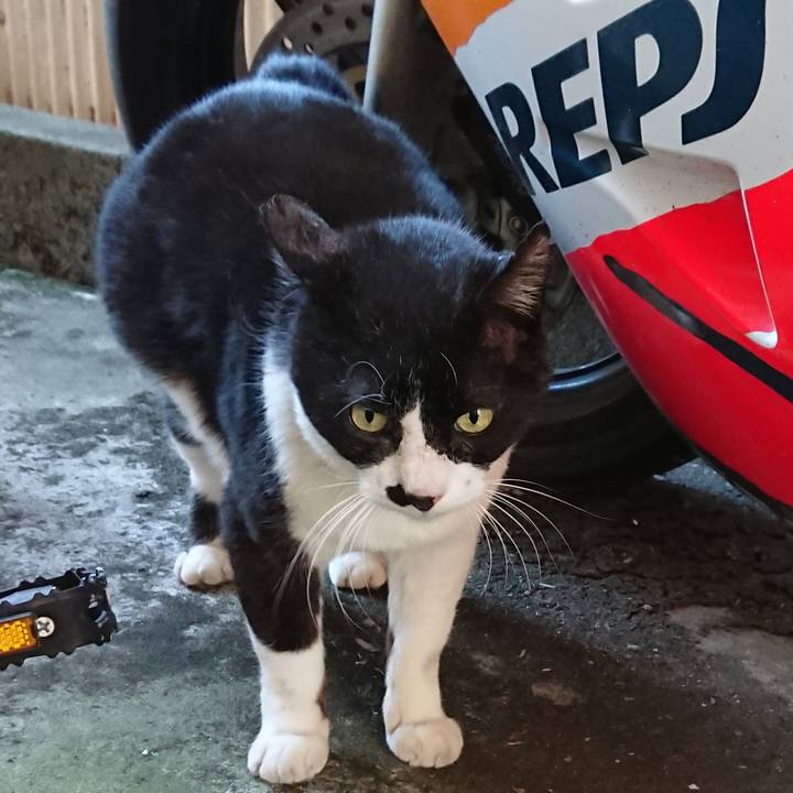 4f626082 a855 4eba 97a2 591dcd52f3f3 1581221513476