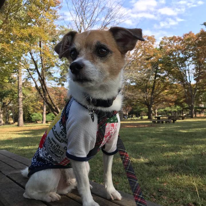 4f627568 9d25 4dc7 8dbf 5713501d2429 1540006306805