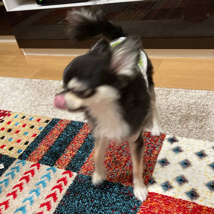 4f62be57 61f7 4b71 b784 f3bab8daa4bb 1684597236111