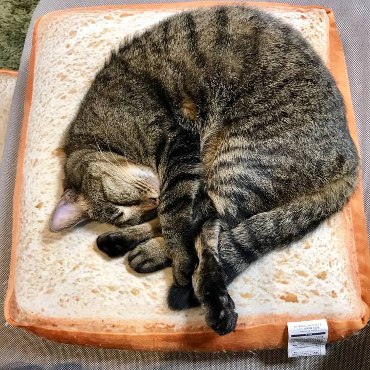 4f62c0b6 a7e0 4bb9 a1e9 3e59883f8747 1544059333458