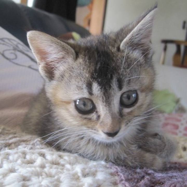 4f62def3 4475 4545 96c3 cedfafa14e4c 1576552391732