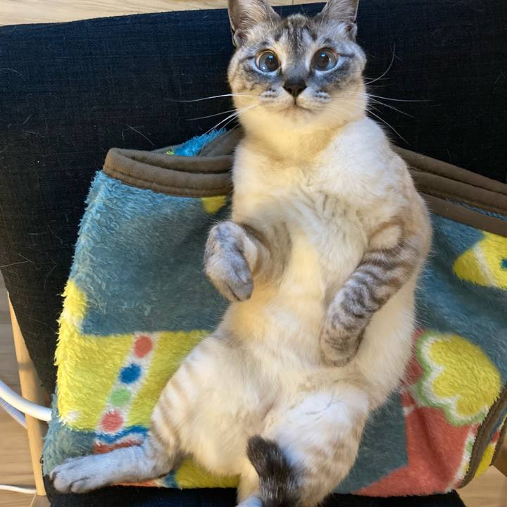 4f62e194 ab38 4e55 b205 27b20907efe1 1618402011865