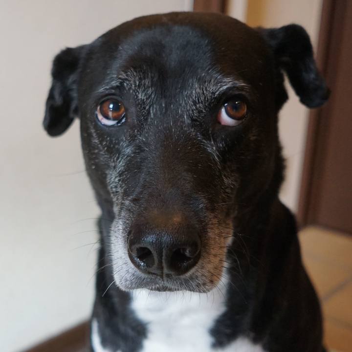 4f63010b 83b9 4291 9583 4d184273a40d 1764376896461