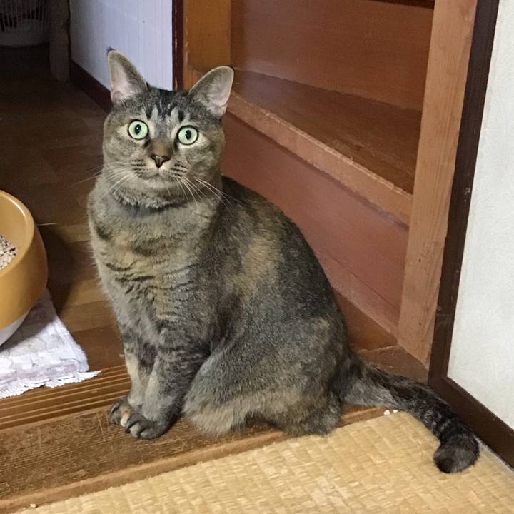 4f632e93 18a0 4e81 abf6 7ee482317c02 1727942050170