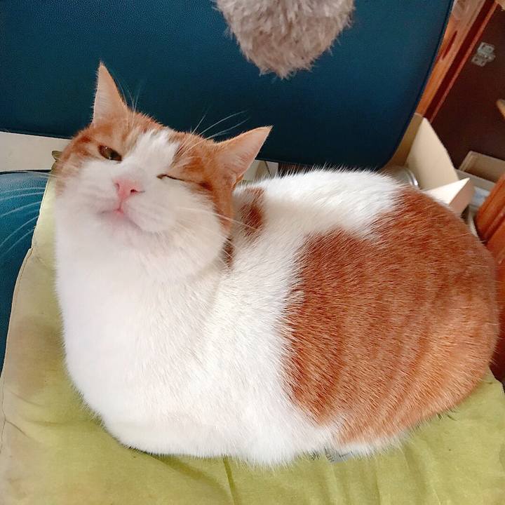 4f632f43 3c7e 44bb 81b6 3079f4ed6840 1516595555699