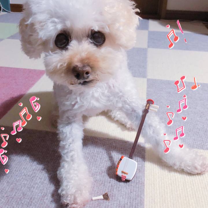 4f633038 c144 463b 835a e62b12ba508b 1565522892288