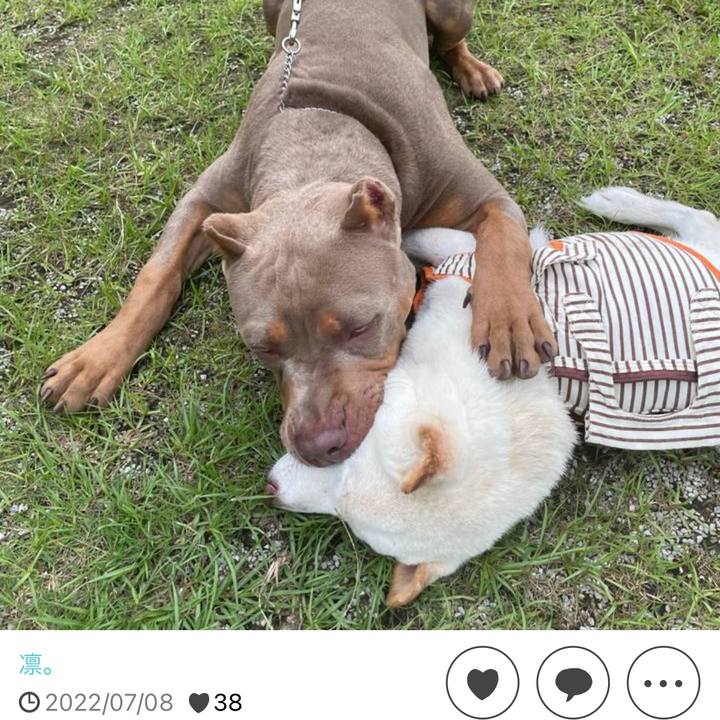 4f63373c c7e6 479b a189 86c77d5fa658 1689037102734