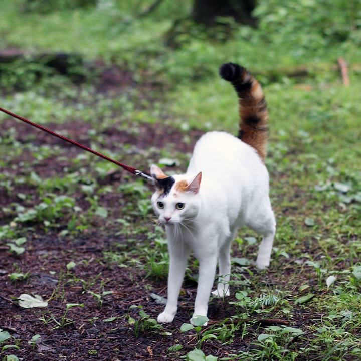 4f634576 38f9 4f17 9ff0 e8fbd329ce83 1600817302678