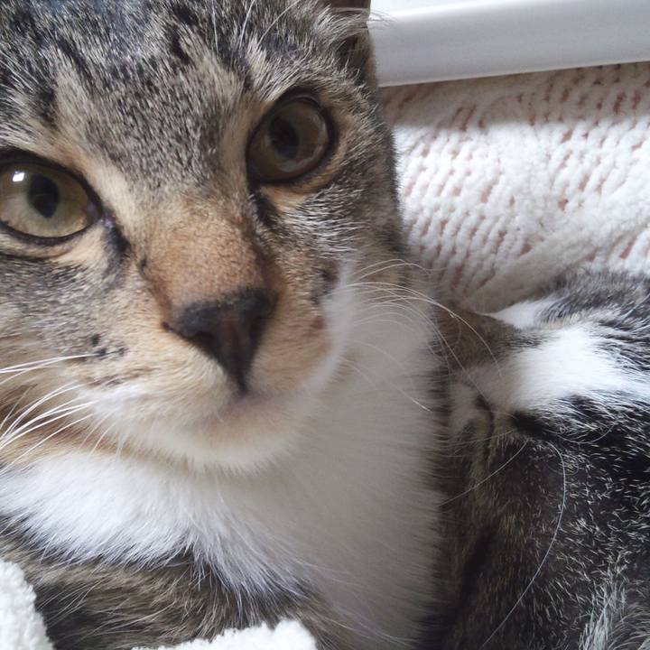 4f634e3e fc67 40f0 a7e6 ebe8ba13884c 1605780174519