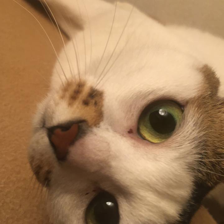 4f636529 5483 4499 94d5 84554016c024 1624102511424