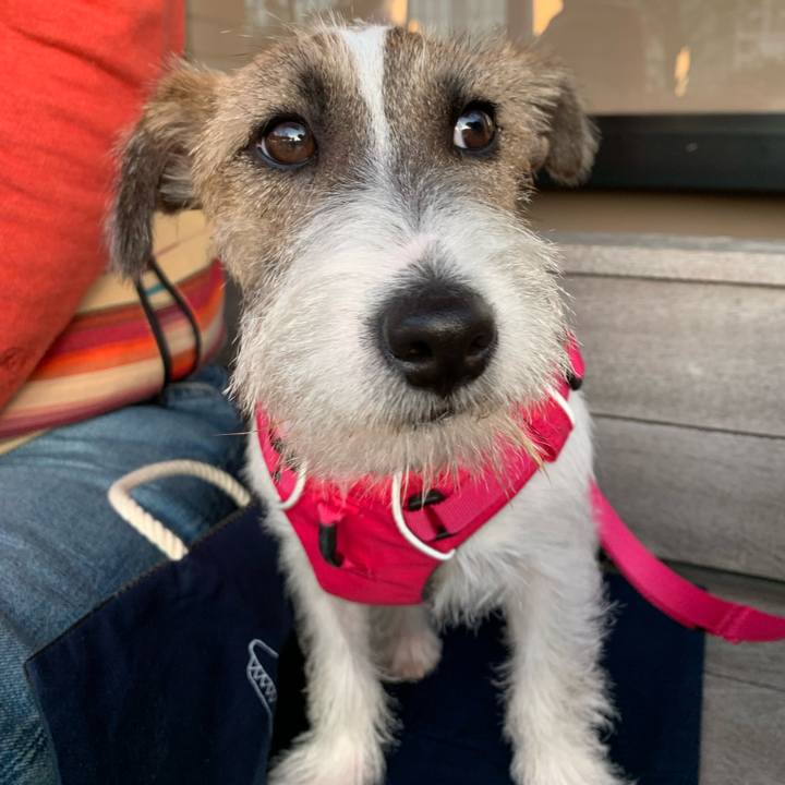 4f637c8f 5b28 4d30 a2e8 e18a1a1416d2 1572855661566