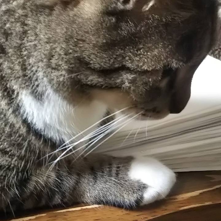 4f639e77 baa7 496a 8411 99633bfa177b 1631286373670