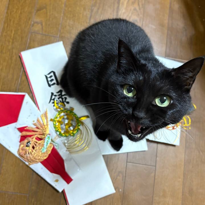 4f63ced8 7f37 4e8e b6d0 c6bf80d45330 1760172234413