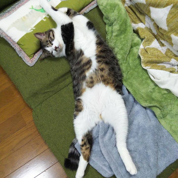 4f63e88b 6b02 4b35 986d 66941692bf76 1651801963368