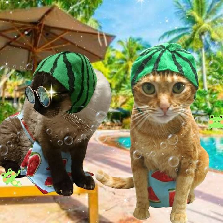 4f64047c d702 430f ac1c ea85a1f102cf 1561855082738