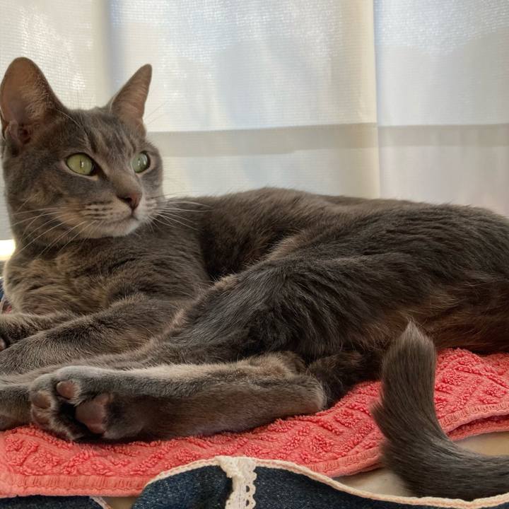 4f64575f b9ca 4acb 9bc1 344cd522885e 1603593706241