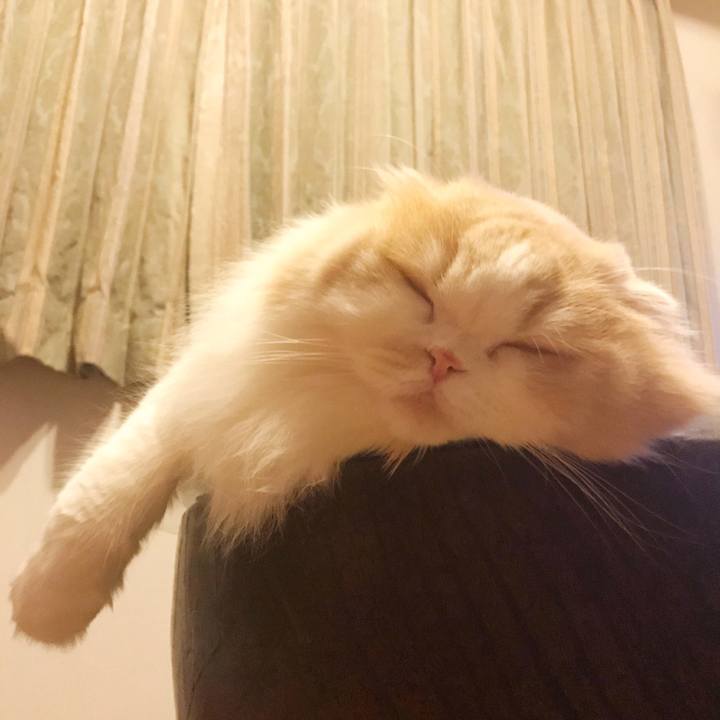 4f64ec0a 6a20 405f 8bb8 8af410dc7d05 1515937474667