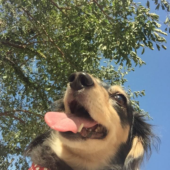 4f64fffe 13f6 41ba ab83 a1142d9aec32 1537258117274