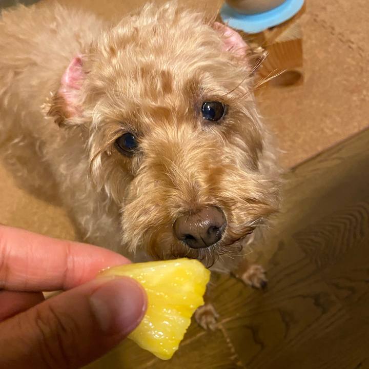 4f653fbc eb7f 48d6 987e c95c8c59e6b8 1648379294407