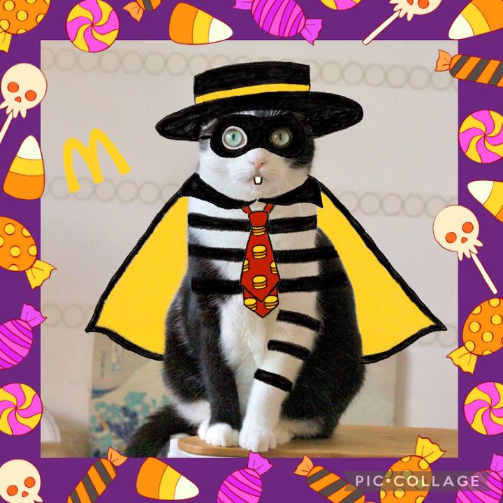 4f65440f 7739 43fb 958a 624f13f401c4 1635689363796