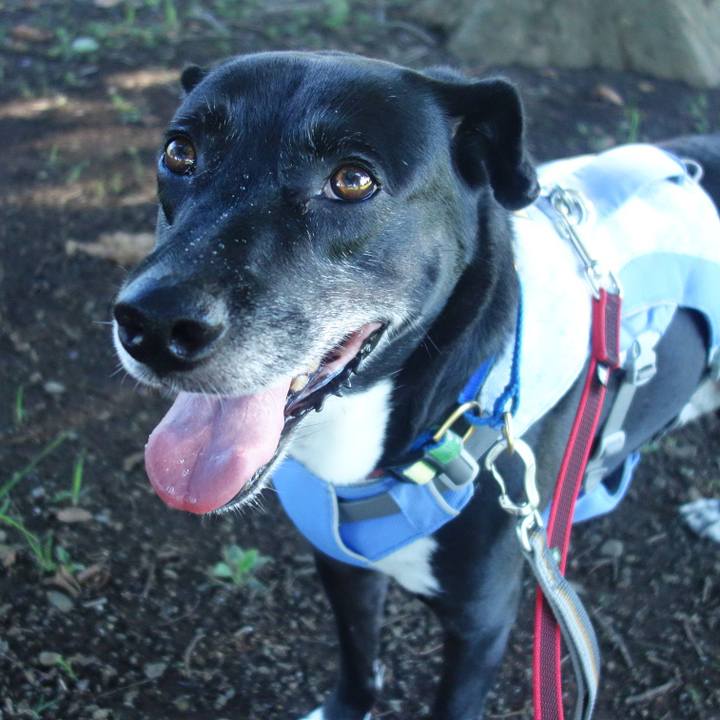 4f654c0e c8d5 4d37 9626 561a92869ac1 1692920611046