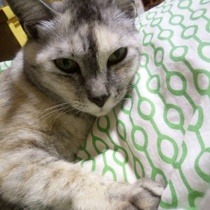 4f654d9c 088f 4386 b8f1 9b7d6c3ed035 1536326819448