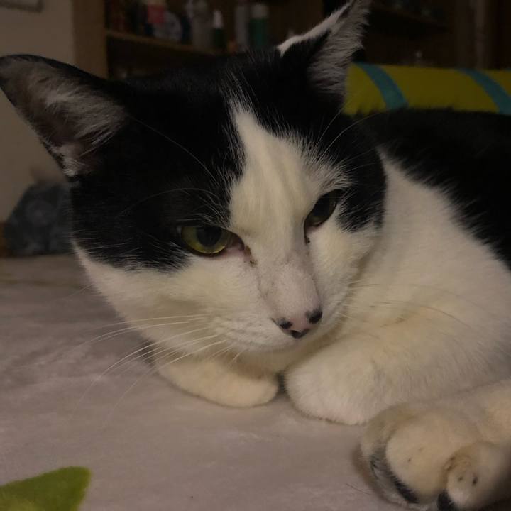 4f65cc79 d62a 434a a7ec fa7e209fb1eb 1549099576663