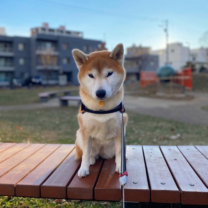 4f65d9ea de46 47b6 9d75 68f2733353a3 1607907613762