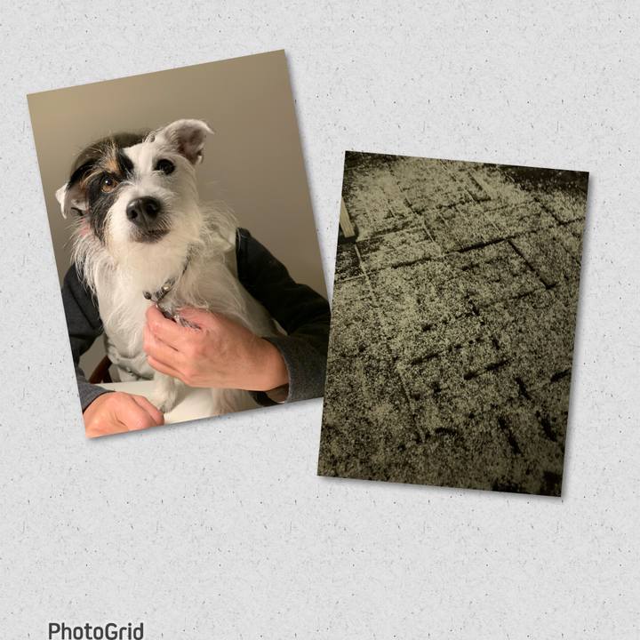 4f65e555 67d7 4dd0 b089 f3c62f7b710c 1674560437598