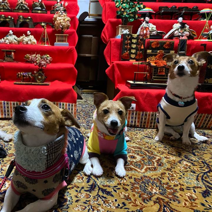 4f65fca0 e559 425f 9402 c9d705e17079 1582536846233